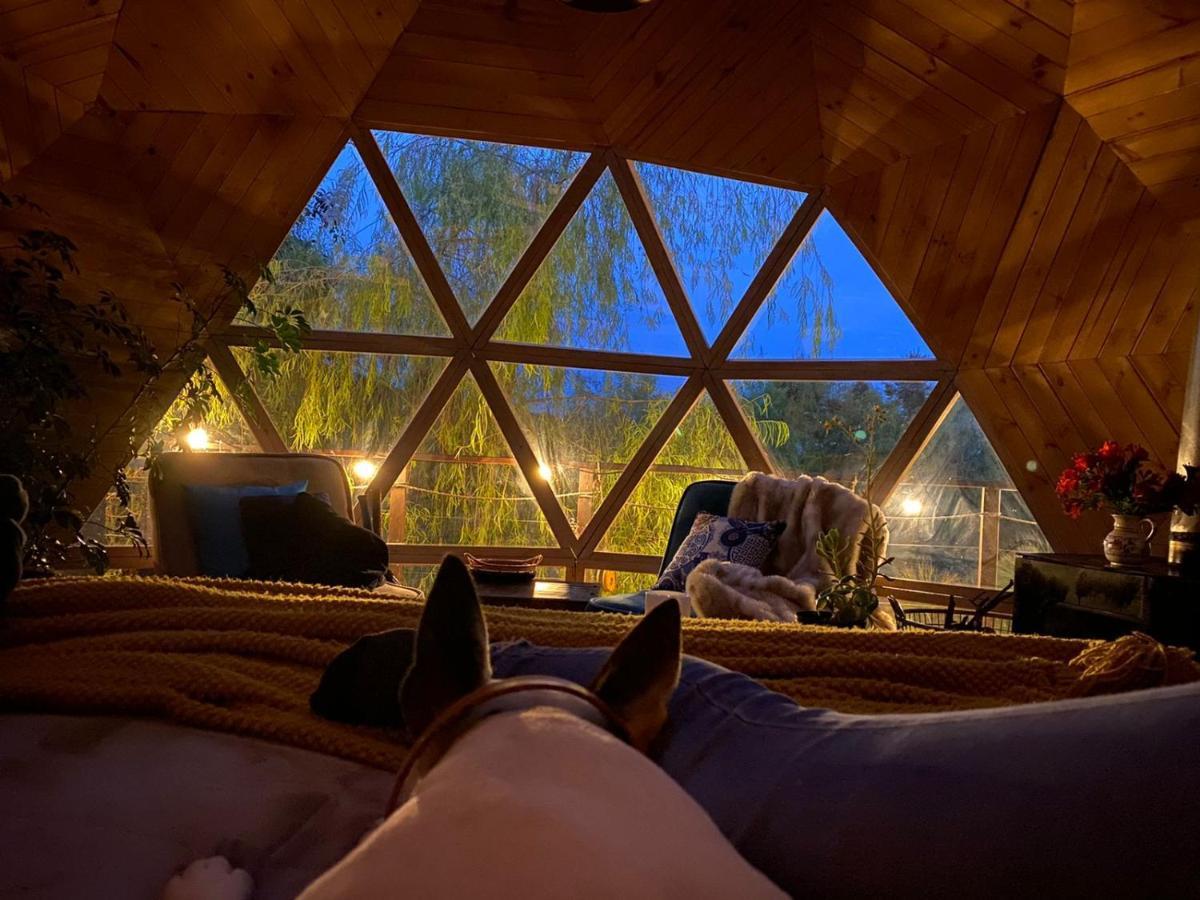 Glamping Cantabria Тунха Екстер'єр фото